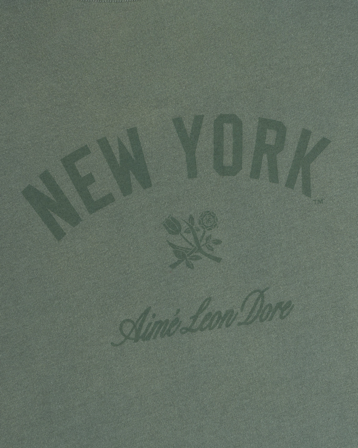 Aimé Leon Dore Popular - Yankees Washed Logo Tee Laurel wreath