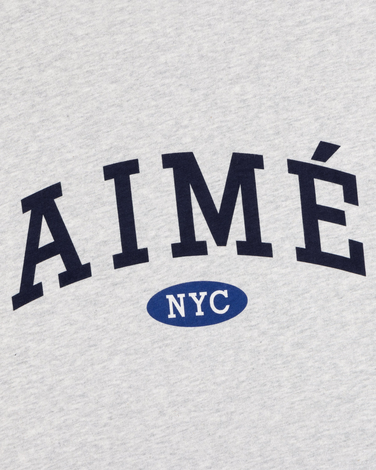 Aimé Leon Dore Smart Buy - Aimé Souvenir Tee Silver mix