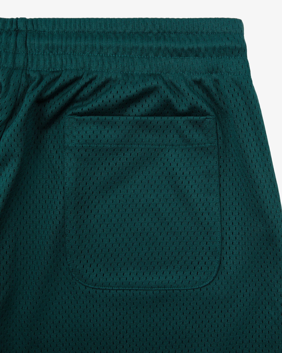 Aimé Leon Dore Everyday - Logo Gym Short Botanical green