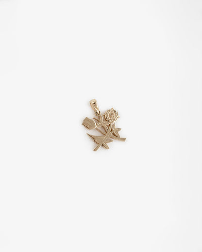 Aimé Leon Dore Trending - 14Kt Gold Pendant Evening blue