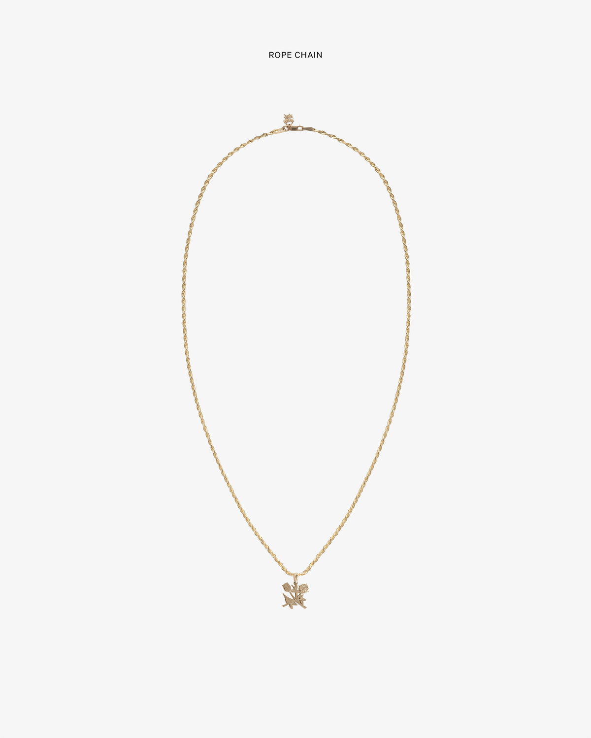 Aimé Leon Dore Trending - 14Kt Gold Pendant Evening blue