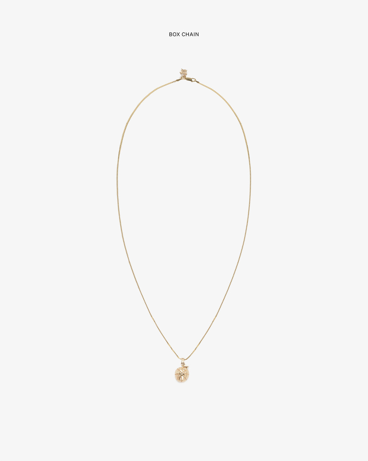 Aimé Leon Dore Value - 14Kt Sonny Apple Pendant Evening blue