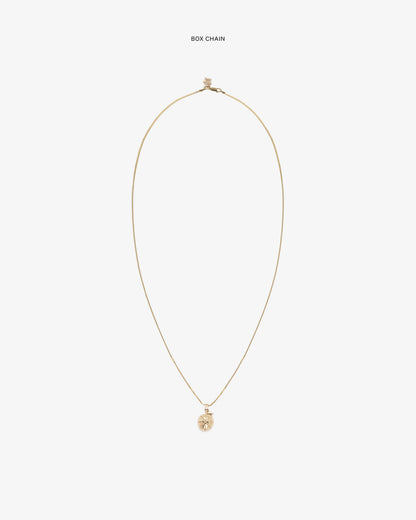 Aimé Leon Dore Value - 14Kt Sonny Apple Pendant Evening blue