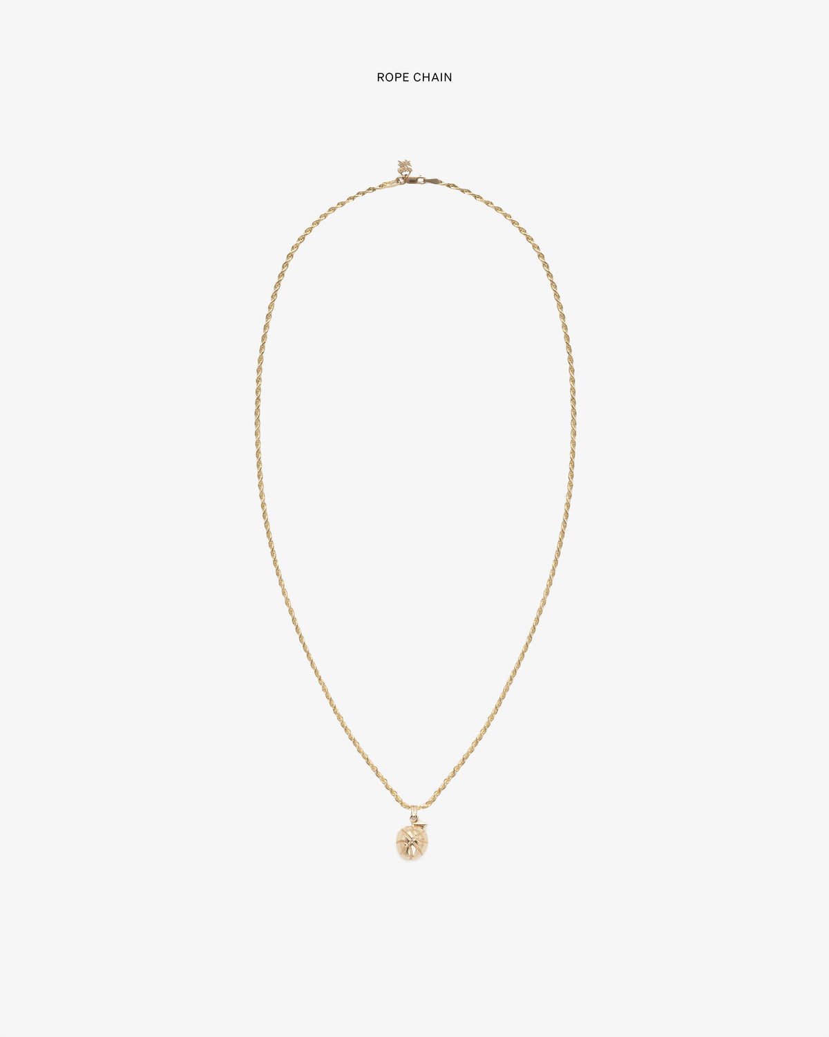 Aimé Leon Dore Value - 14Kt Sonny Apple Pendant Evening blue