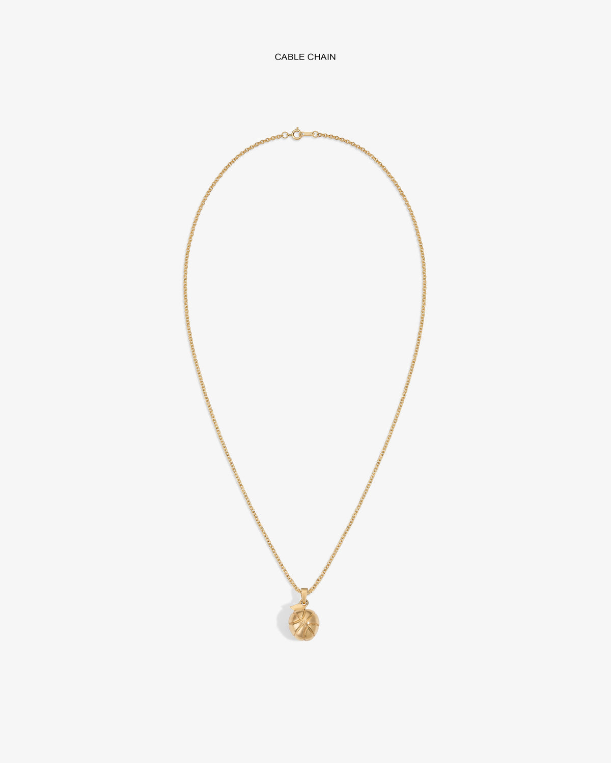 Aimé Leon Dore Value - 14Kt Sonny Apple Pendant Evening blue